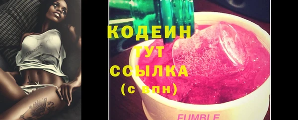 не бодяженный Заводоуковск