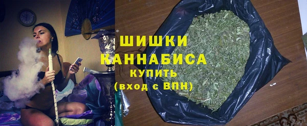 не бодяженный Заводоуковск
