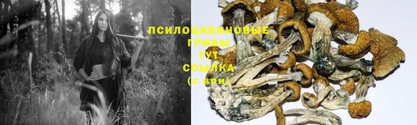 не бодяженный Заводоуковск